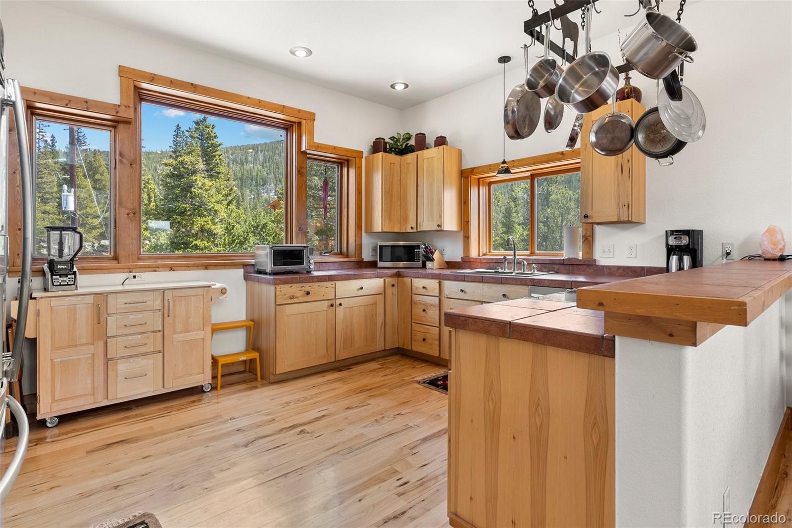MLS Image #8 for 72  overlook court,idaho springs, Colorado