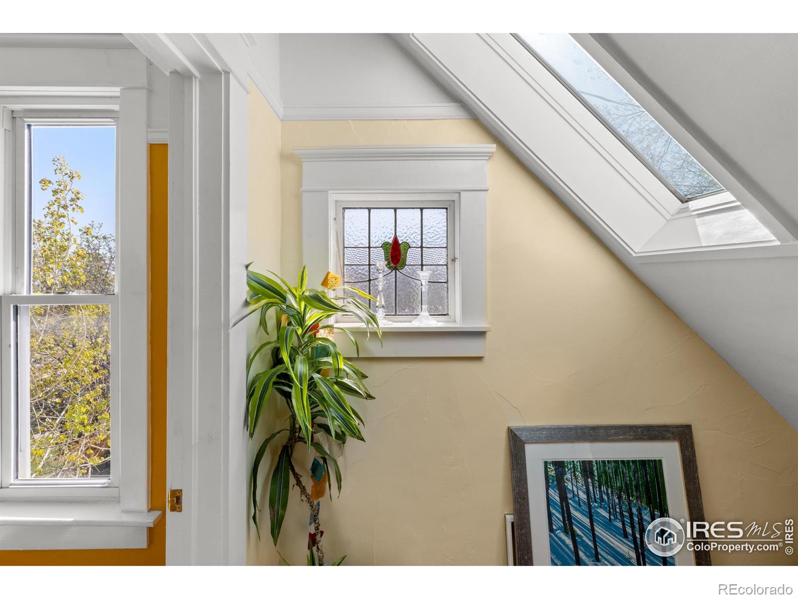 MLS Image #31 for 838  university avenue,boulder, Colorado
