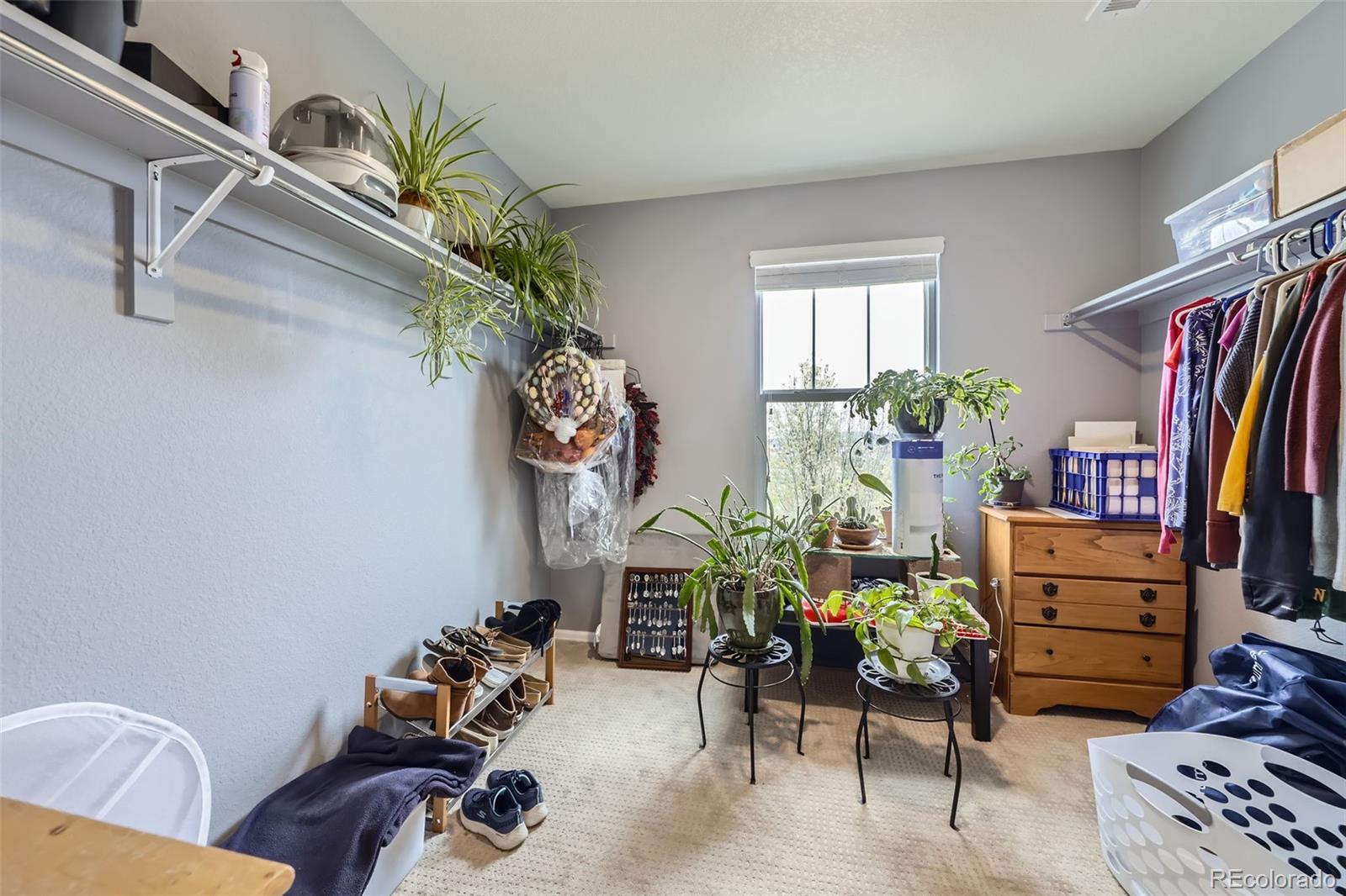 MLS Image #20 for 277  jewel street,brighton, Colorado