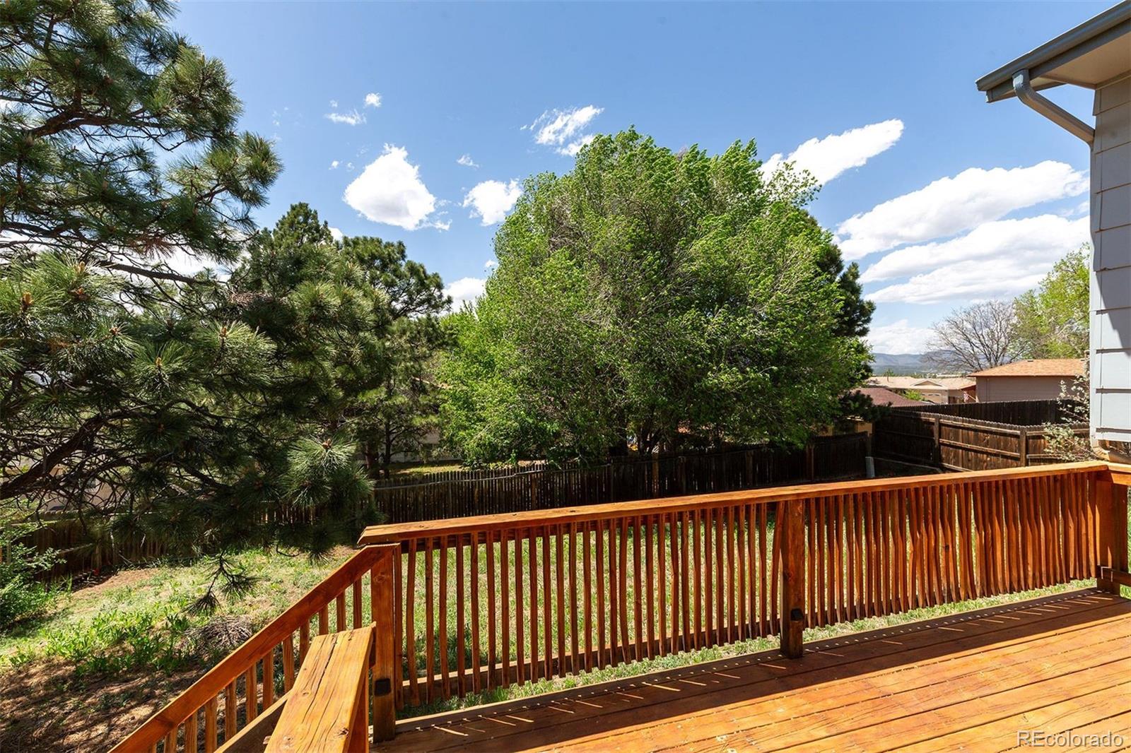 MLS Image #10 for 1950  rusty hinge drive,colorado springs, Colorado