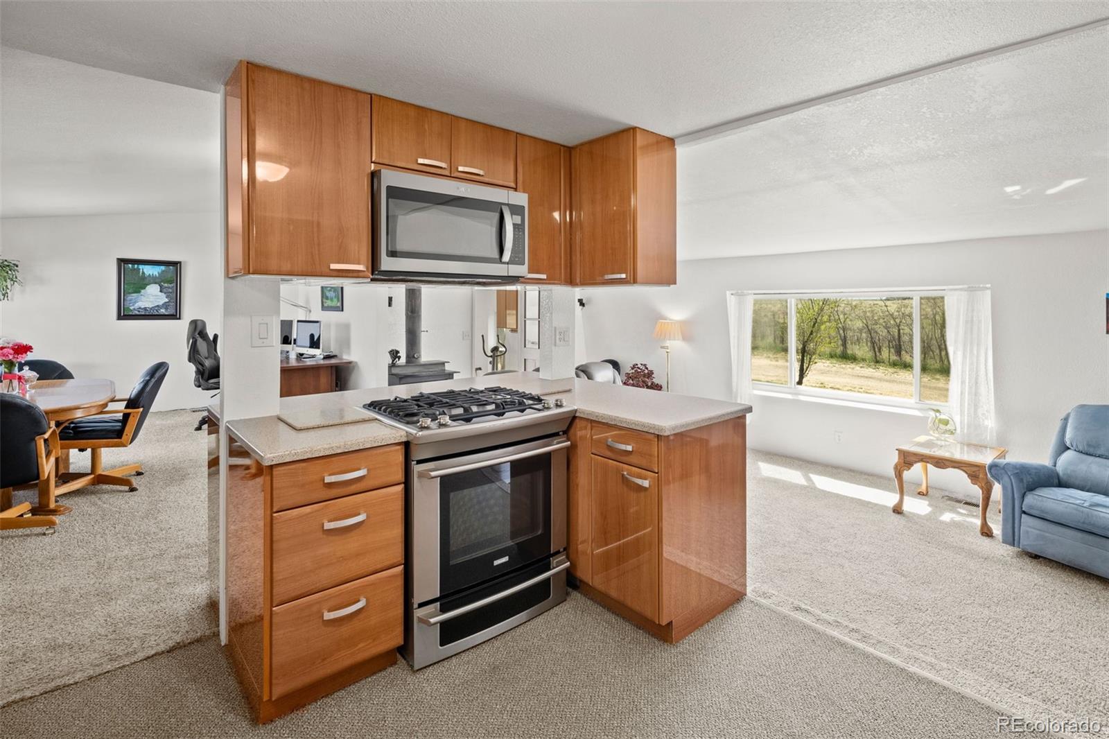 MLS Image #16 for 17445  county road 6 ,brighton, Colorado