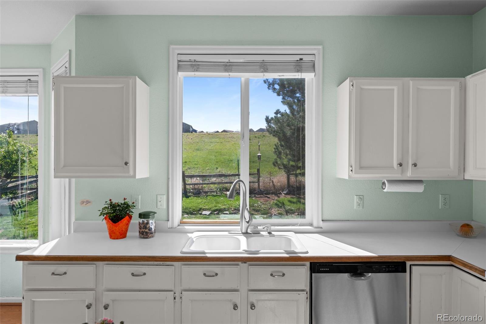 MLS Image #11 for 10519  winterflower way,parker, Colorado