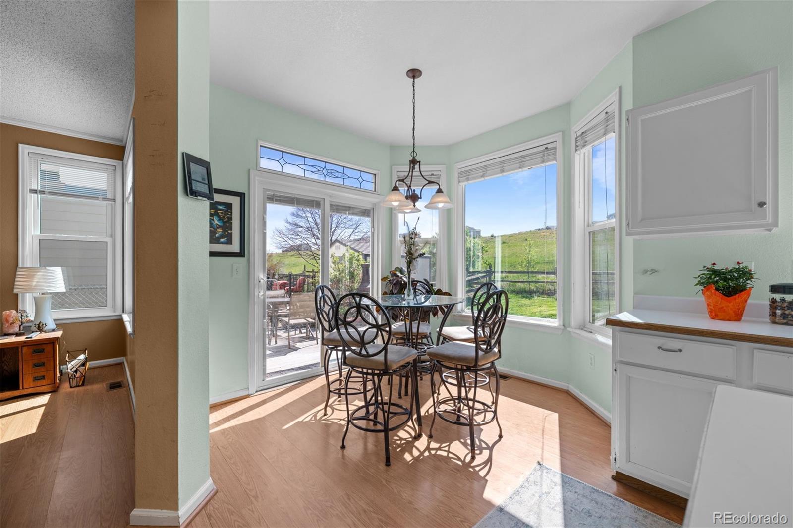 MLS Image #15 for 10519  winterflower way,parker, Colorado