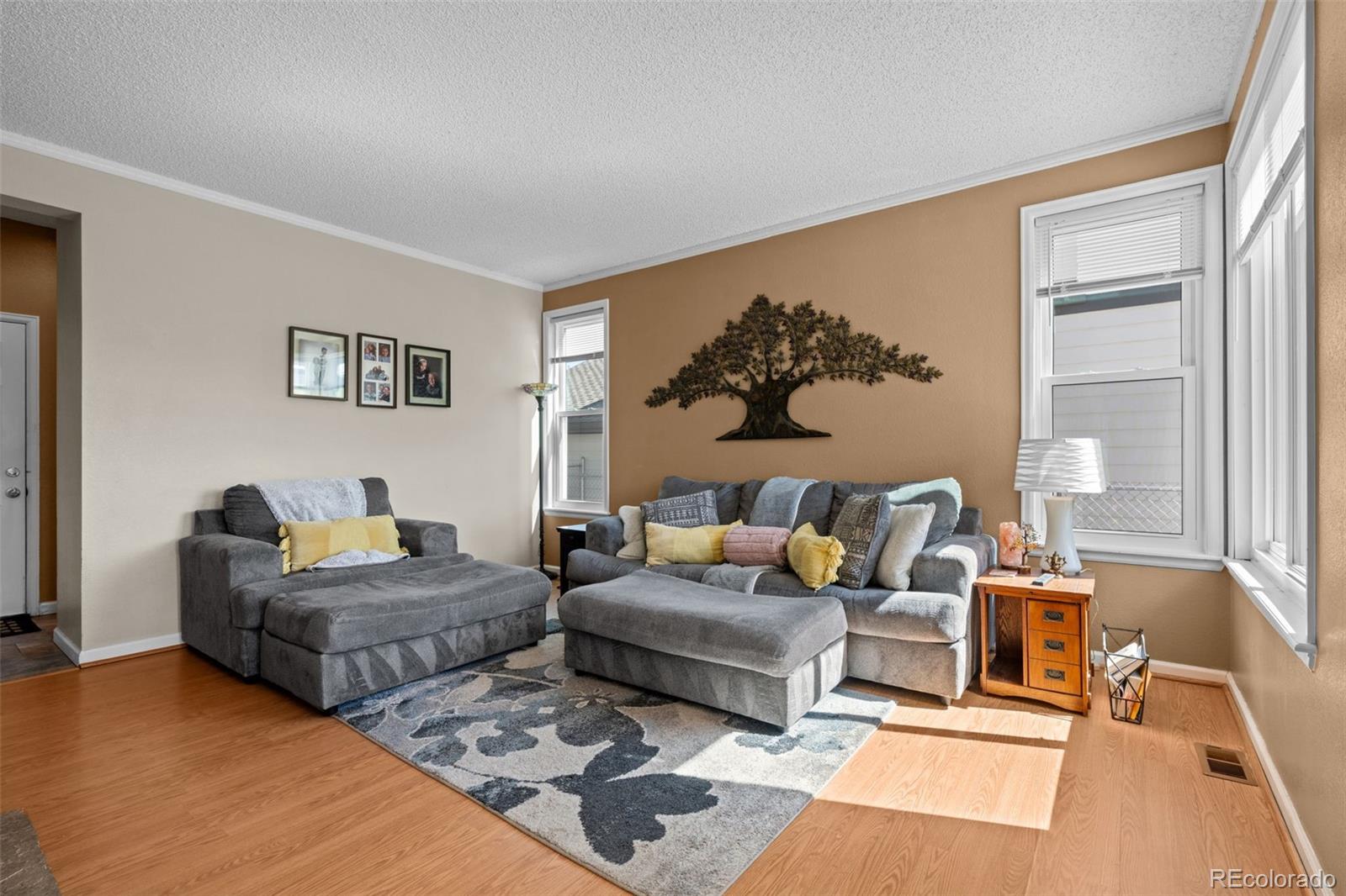 MLS Image #16 for 10519  winterflower way,parker, Colorado
