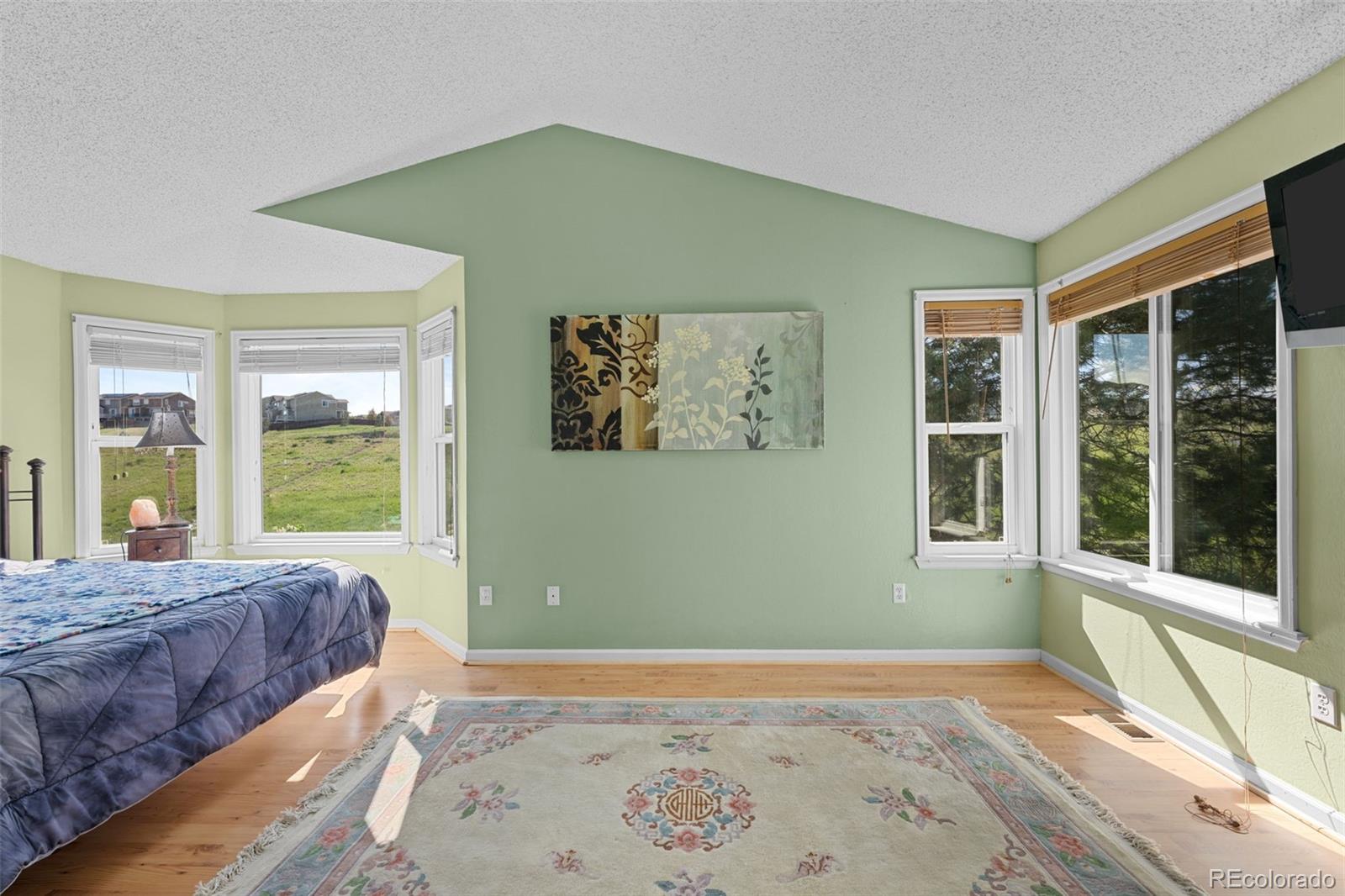 MLS Image #22 for 10519  winterflower way,parker, Colorado