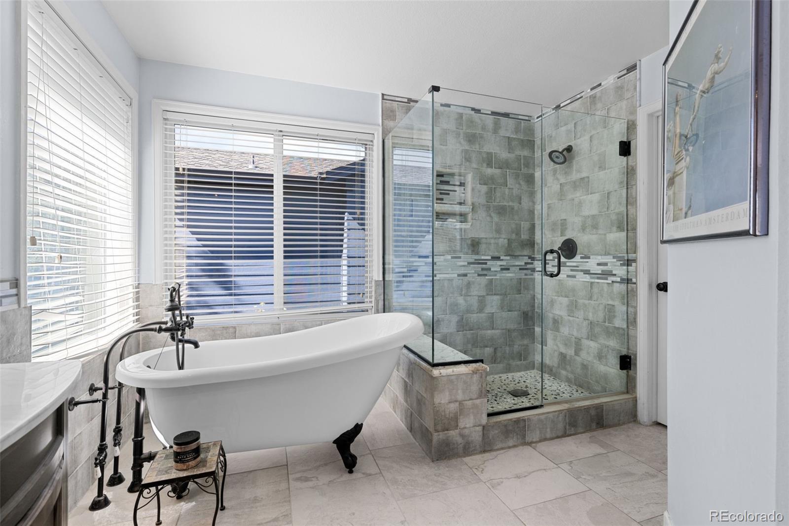 MLS Image #26 for 10519  winterflower way,parker, Colorado