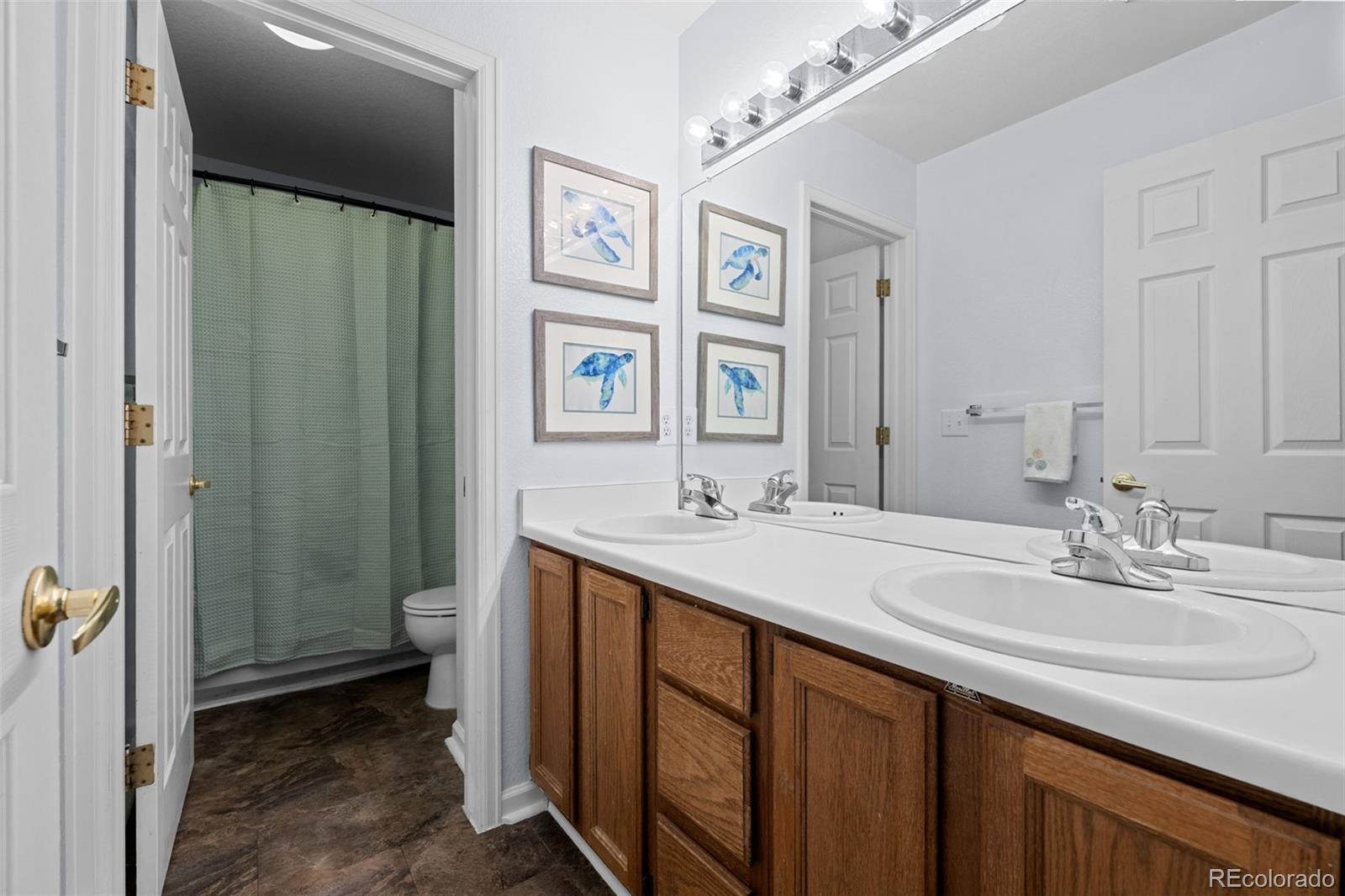 MLS Image #29 for 10519  winterflower way,parker, Colorado
