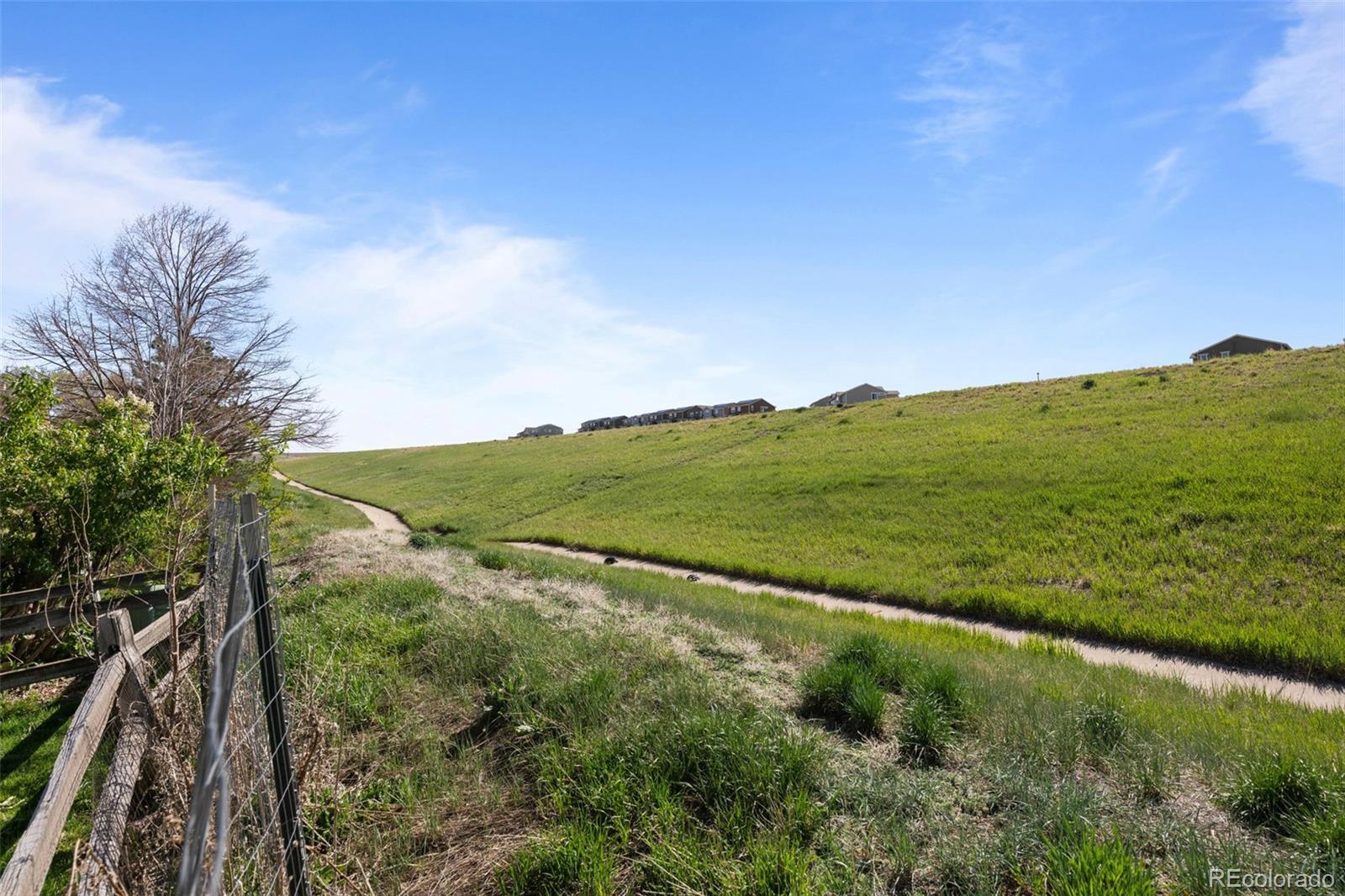MLS Image #37 for 10519  winterflower way,parker, Colorado