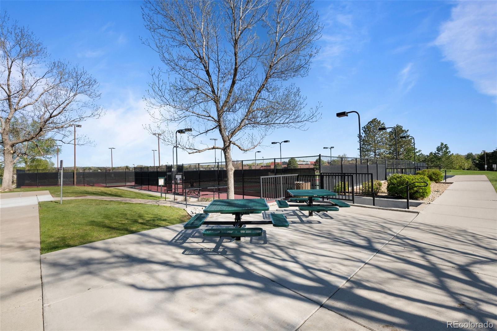 MLS Image #43 for 10519  winterflower way,parker, Colorado