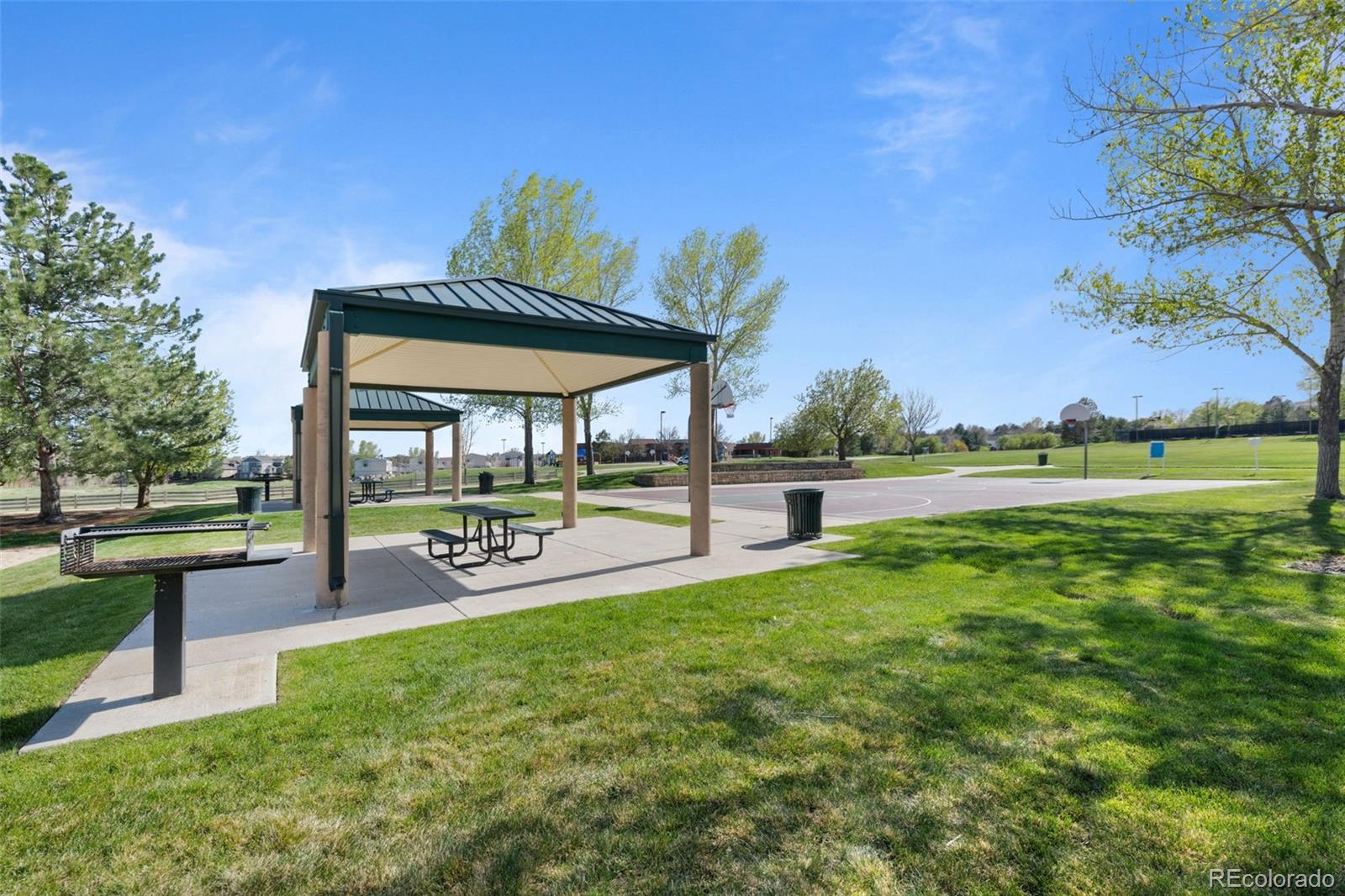 MLS Image #48 for 10519  winterflower way,parker, Colorado