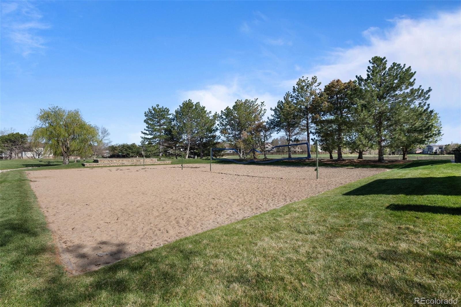 MLS Image #49 for 10519  winterflower way,parker, Colorado