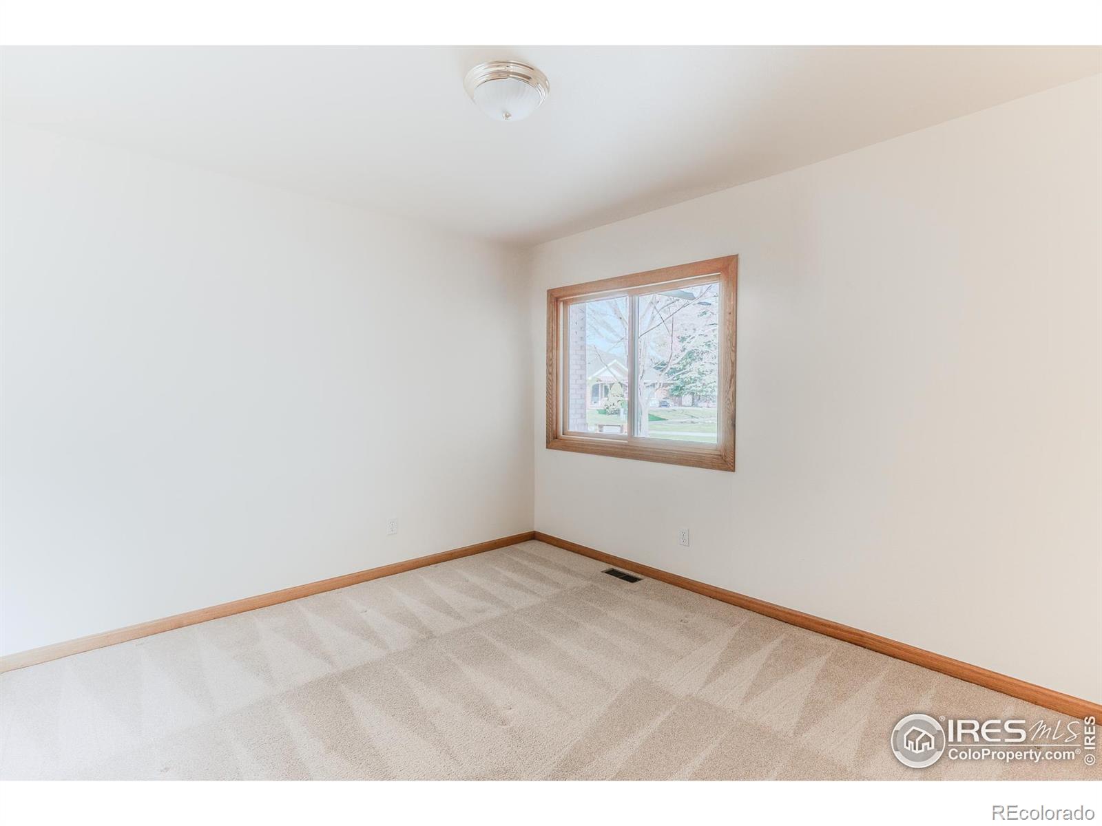 MLS Image #17 for 1609  sherman way,longmont, Colorado