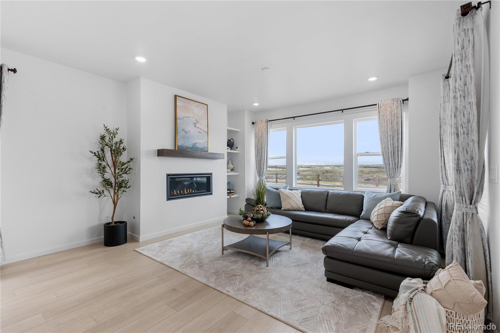 MLS Image #13 for 13446  amber sky street,parker, Colorado