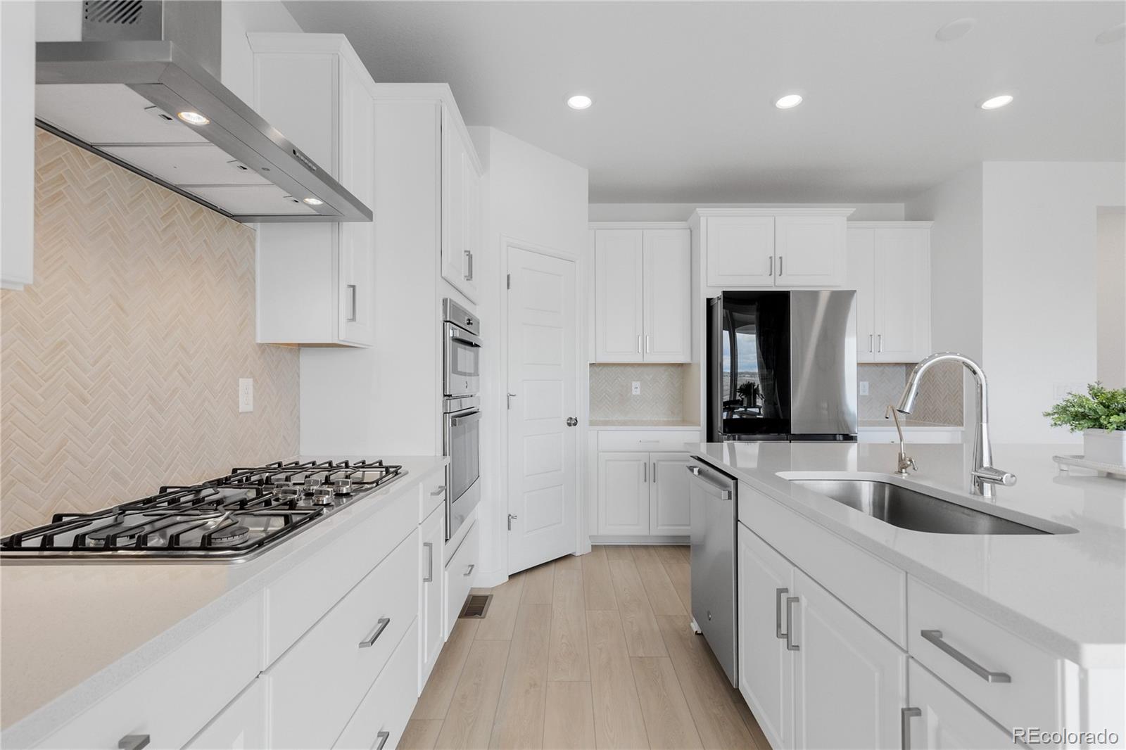 MLS Image #23 for 13446  amber sky street,parker, Colorado