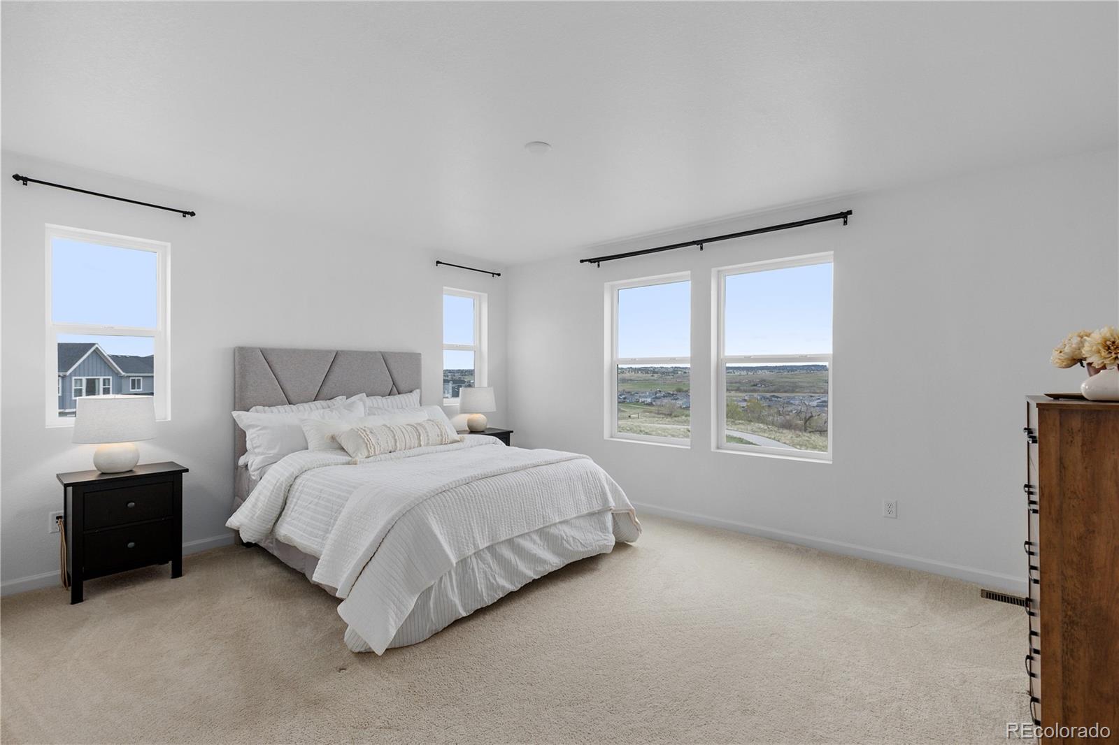 MLS Image #29 for 13446  amber sky street,parker, Colorado