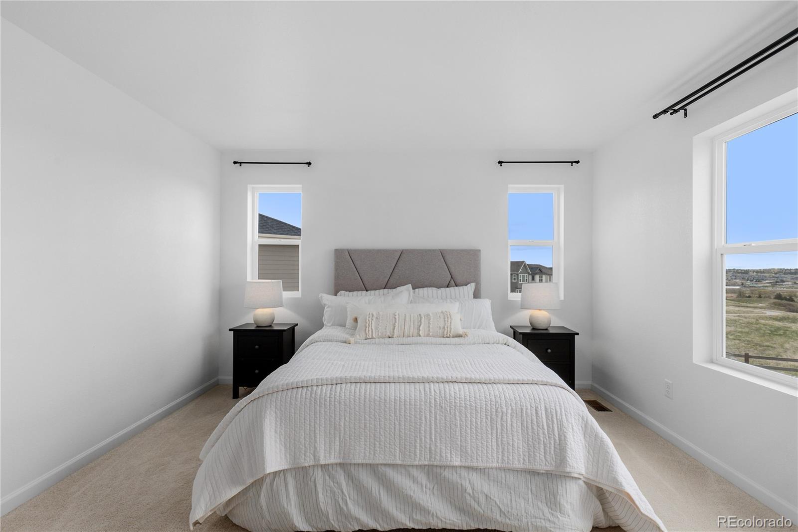 MLS Image #30 for 13446  amber sky street,parker, Colorado