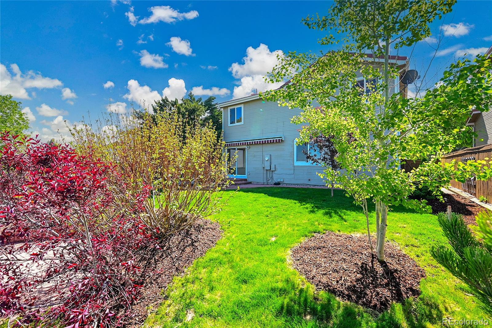 MLS Image #33 for 10057  cedaridge way,highlands ranch, Colorado