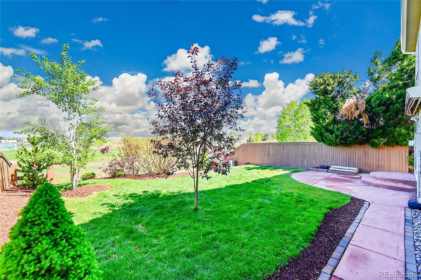 MLS Image #37 for 10057  cedaridge way,highlands ranch, Colorado
