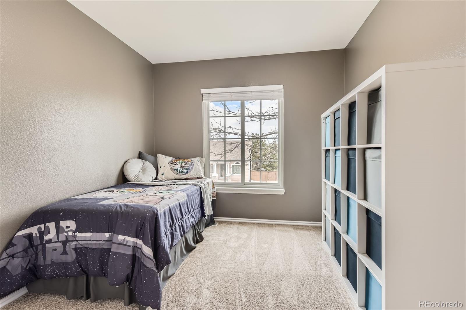 MLS Image #15 for 9879  sydney lane,highlands ranch, Colorado