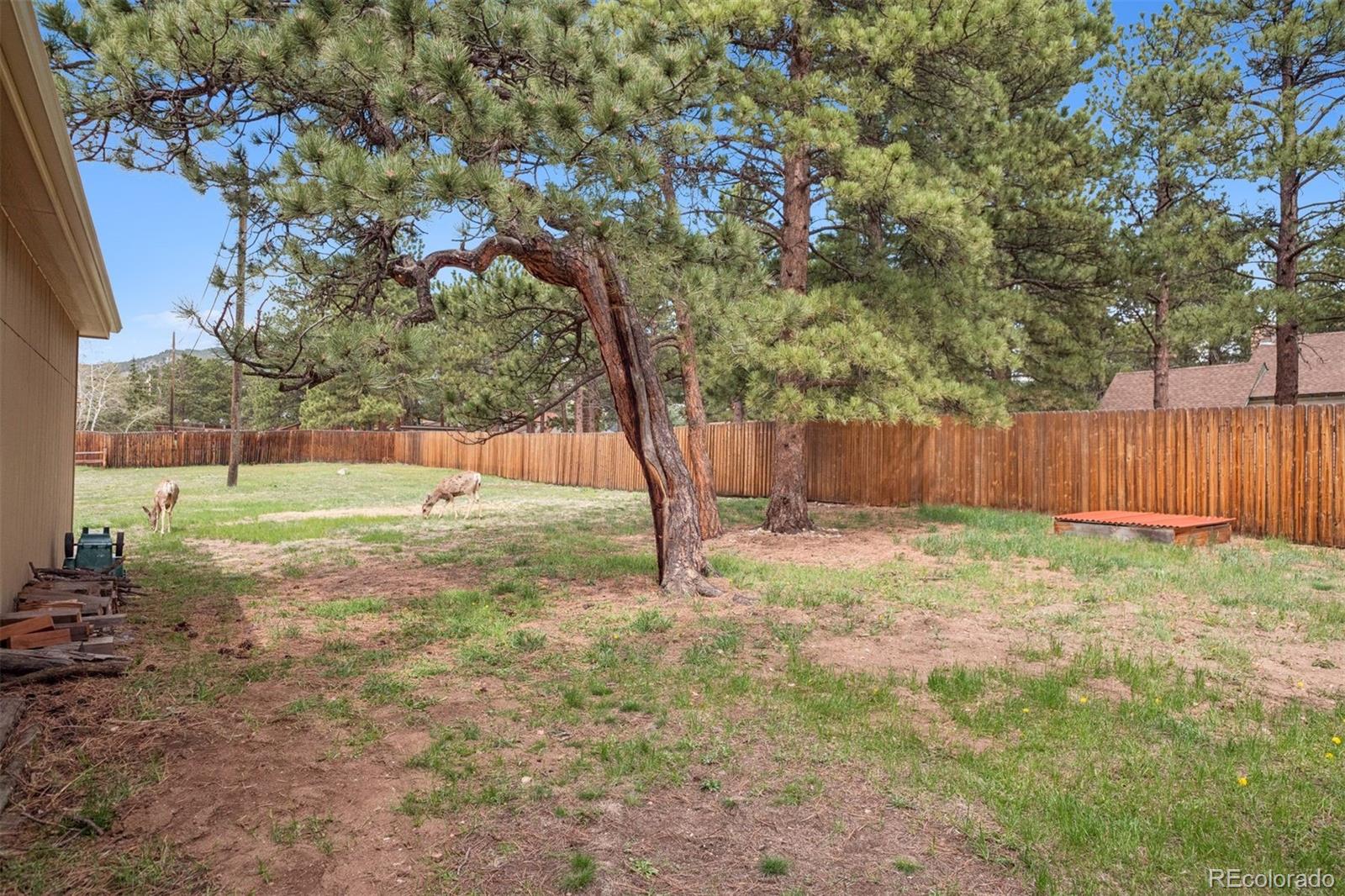 MLS Image #15 for 30321  chestnut drive,evergreen, Colorado