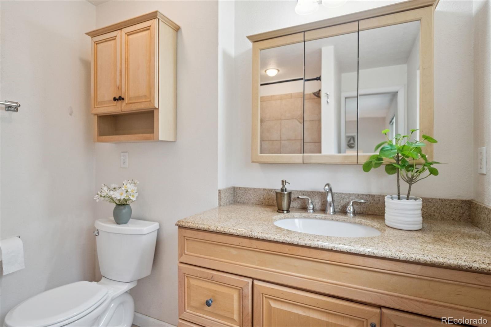 MLS Image #21 for 30321  chestnut drive,evergreen, Colorado