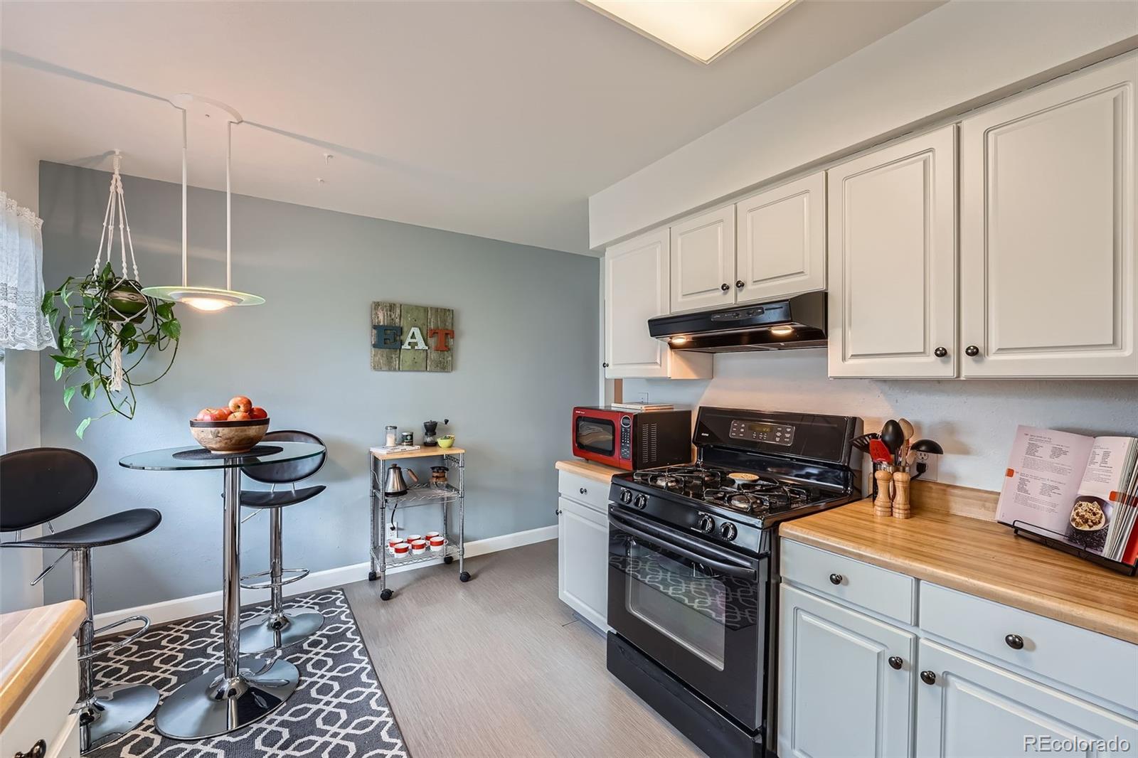 MLS Image #12 for 1062  jasper street,aurora, Colorado