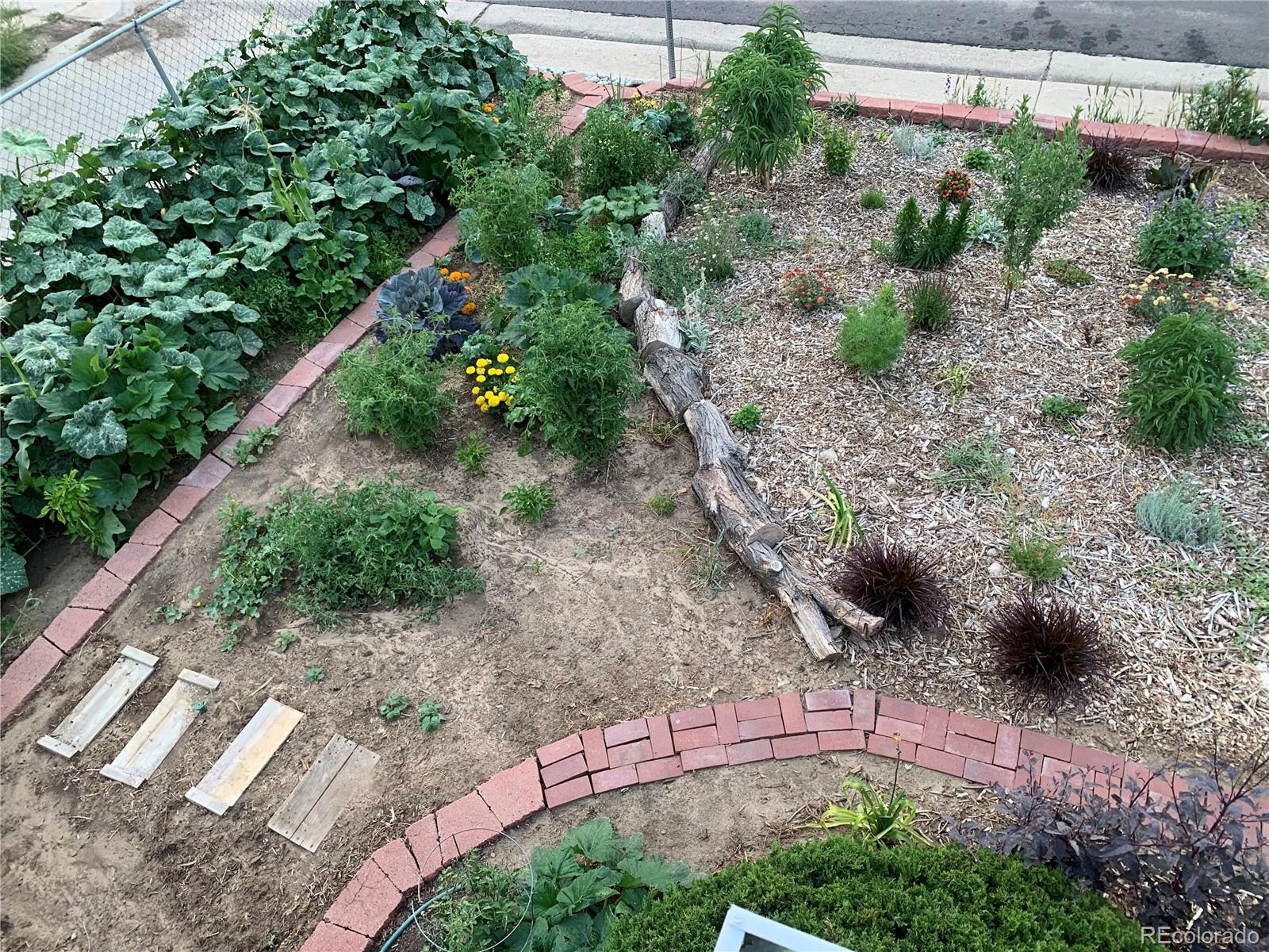 MLS Image #14 for 4332  bruce randolph avenue,denver, Colorado