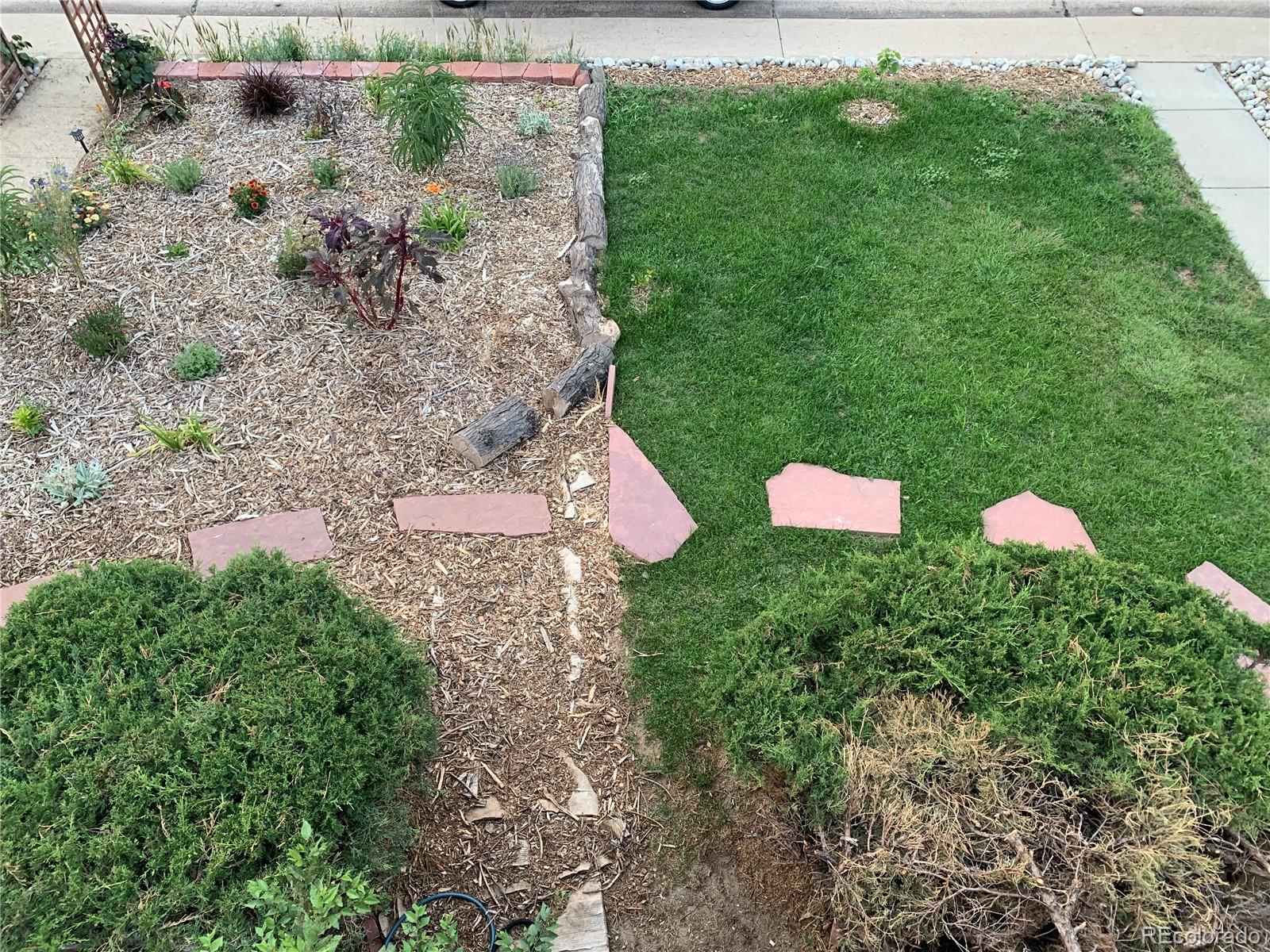 MLS Image #15 for 4332  bruce randolph avenue,denver, Colorado