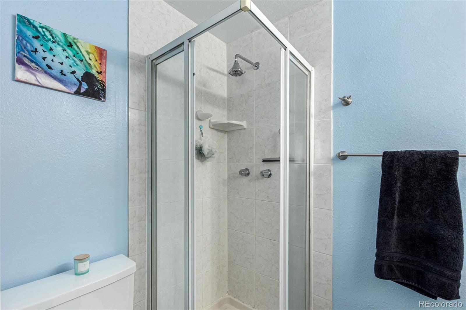 MLS Image #20 for 502  mahonia place,loveland, Colorado