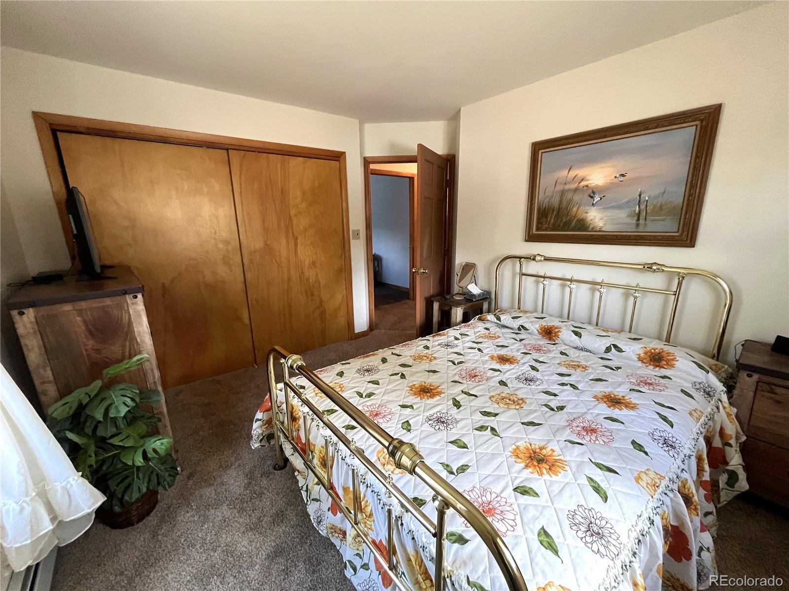 MLS Image #13 for 16700  county road 363 ,buena vista, Colorado