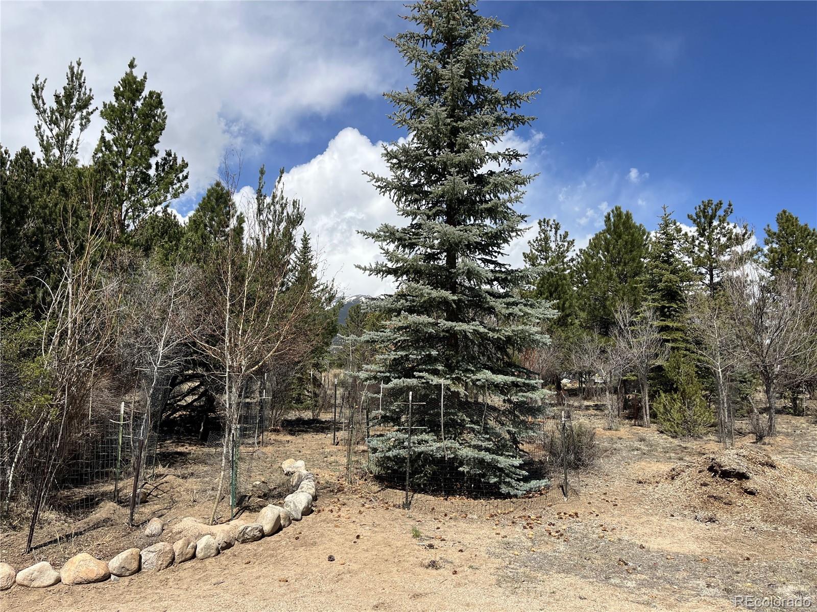MLS Image #27 for 16700  county road 363 ,buena vista, Colorado