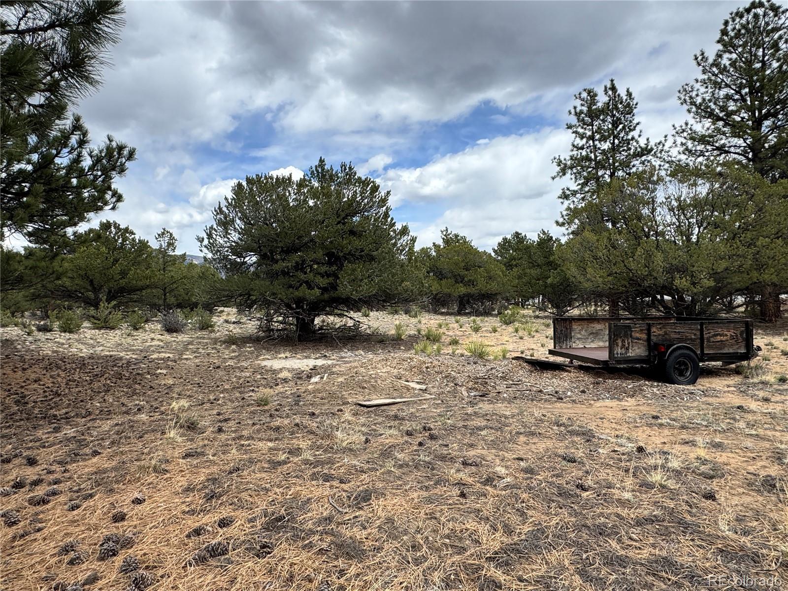 MLS Image #32 for 16700  county road 363 ,buena vista, Colorado