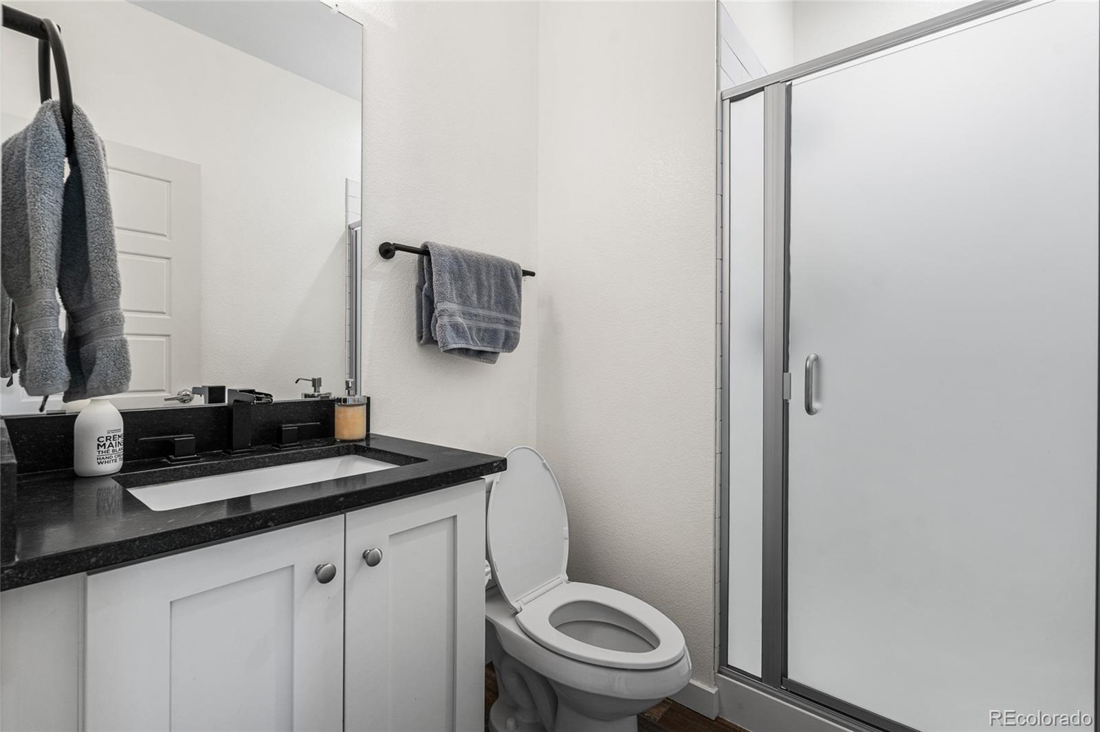 MLS Image #15 for 11023  pastel point,parker, Colorado
