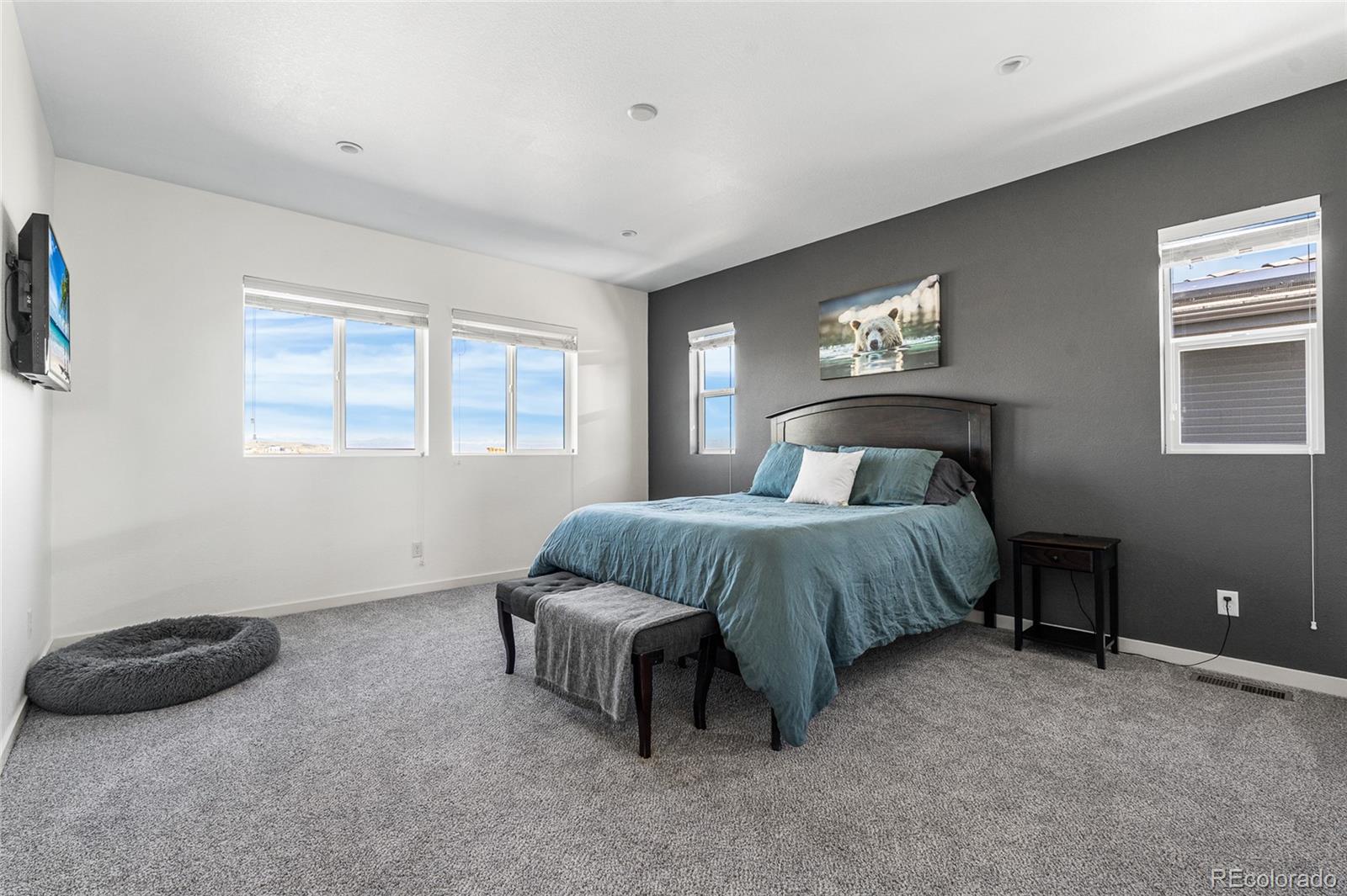 MLS Image #19 for 11023  pastel point,parker, Colorado