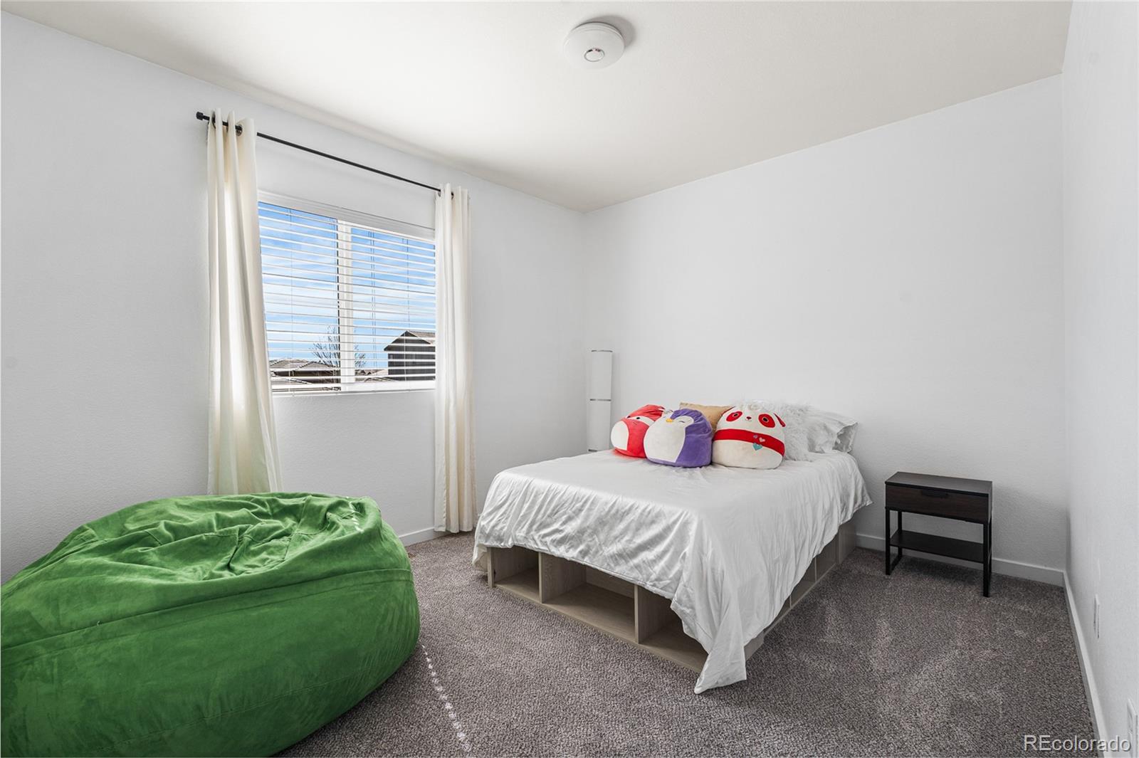 MLS Image #26 for 11023  pastel point,parker, Colorado