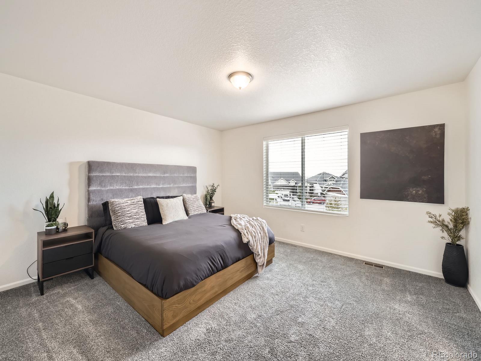 MLS Image #11 for 17448 e 103rd place,commerce city, Colorado
