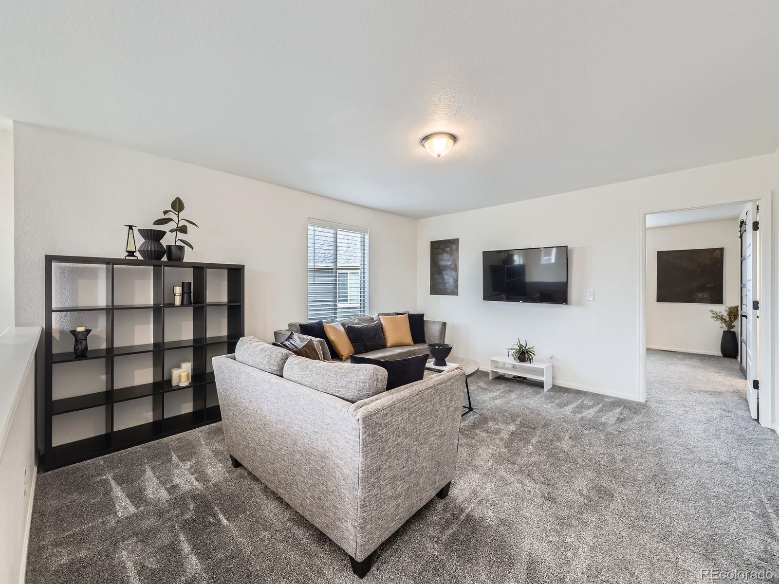 MLS Image #18 for 17448 e 103rd place,commerce city, Colorado