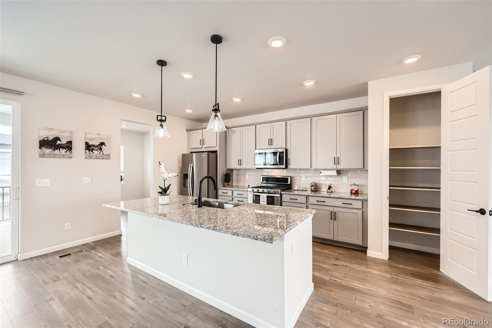 MLS Image #10 for 8822  fraser river loop,littleton, Colorado