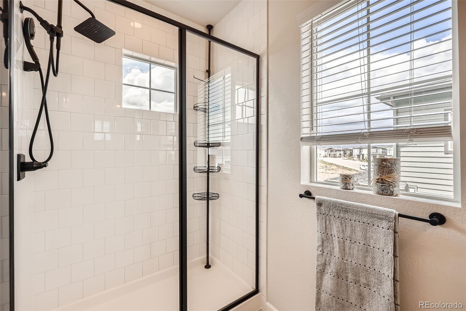 MLS Image #18 for 8822  fraser river loop,littleton, Colorado