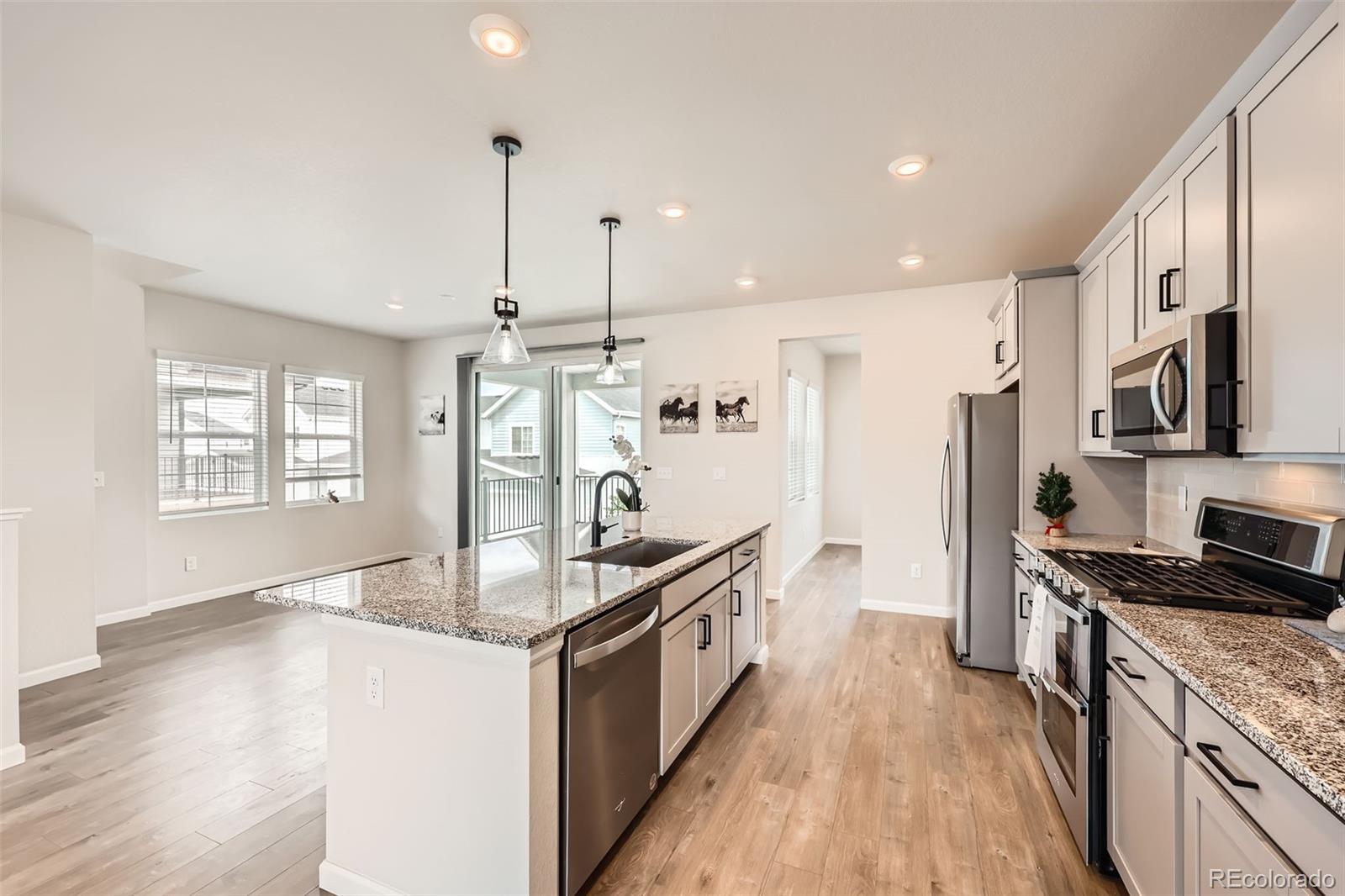MLS Image #9 for 8822  fraser river loop,littleton, Colorado