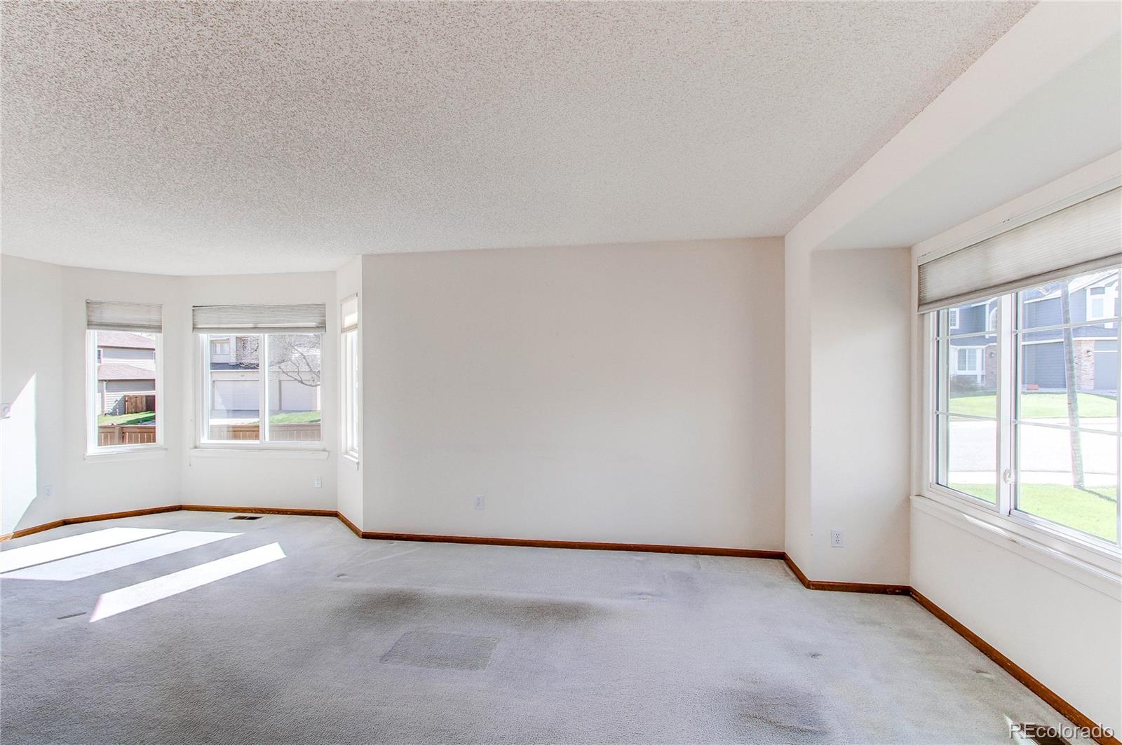 MLS Image #15 for 495  bexley street,highlands ranch, Colorado