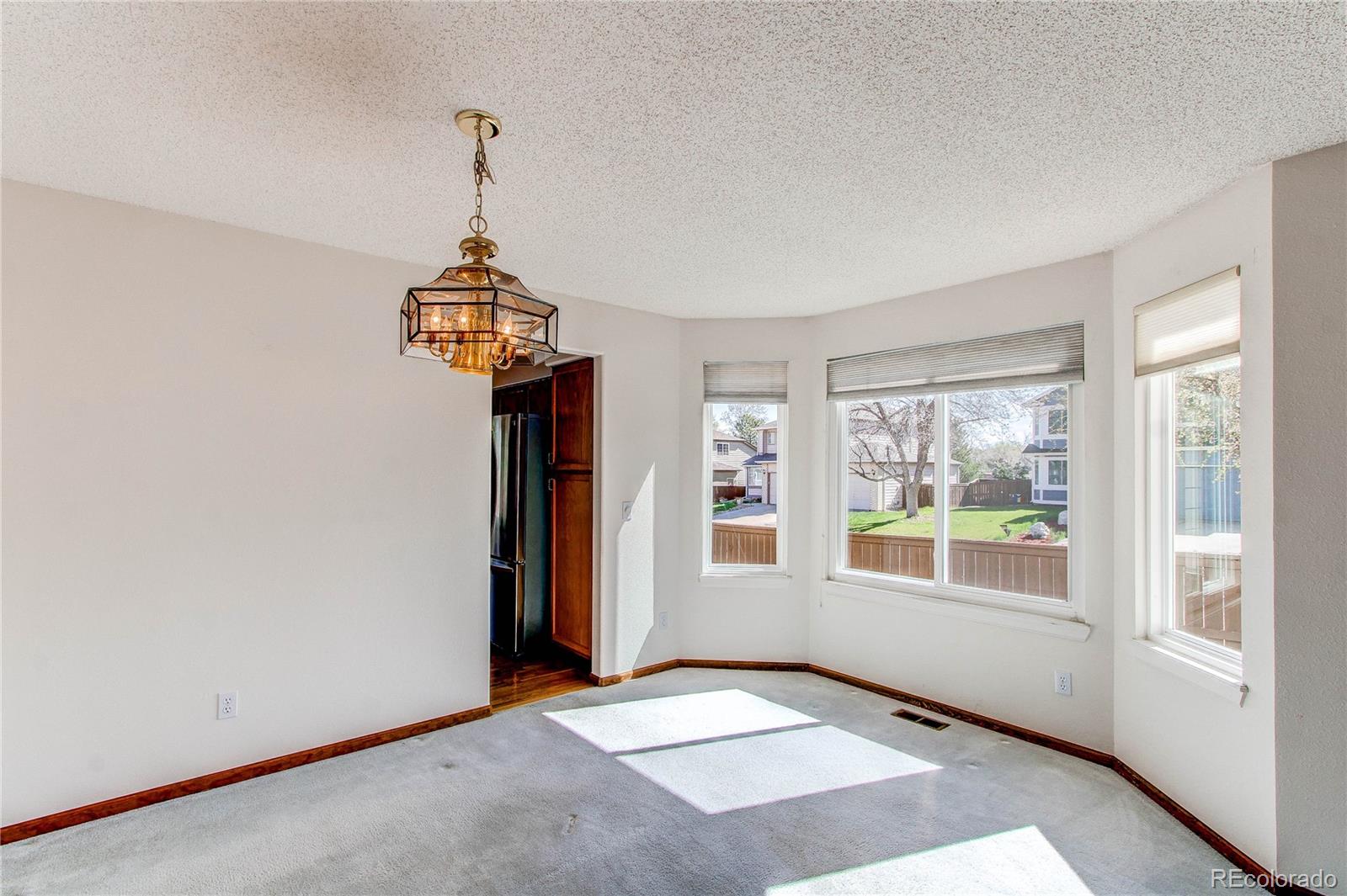 MLS Image #16 for 495  bexley street,highlands ranch, Colorado