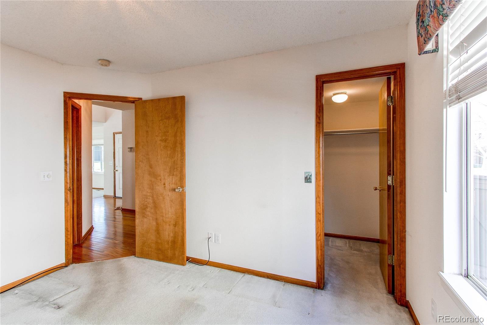 MLS Image #21 for 495  bexley street,highlands ranch, Colorado