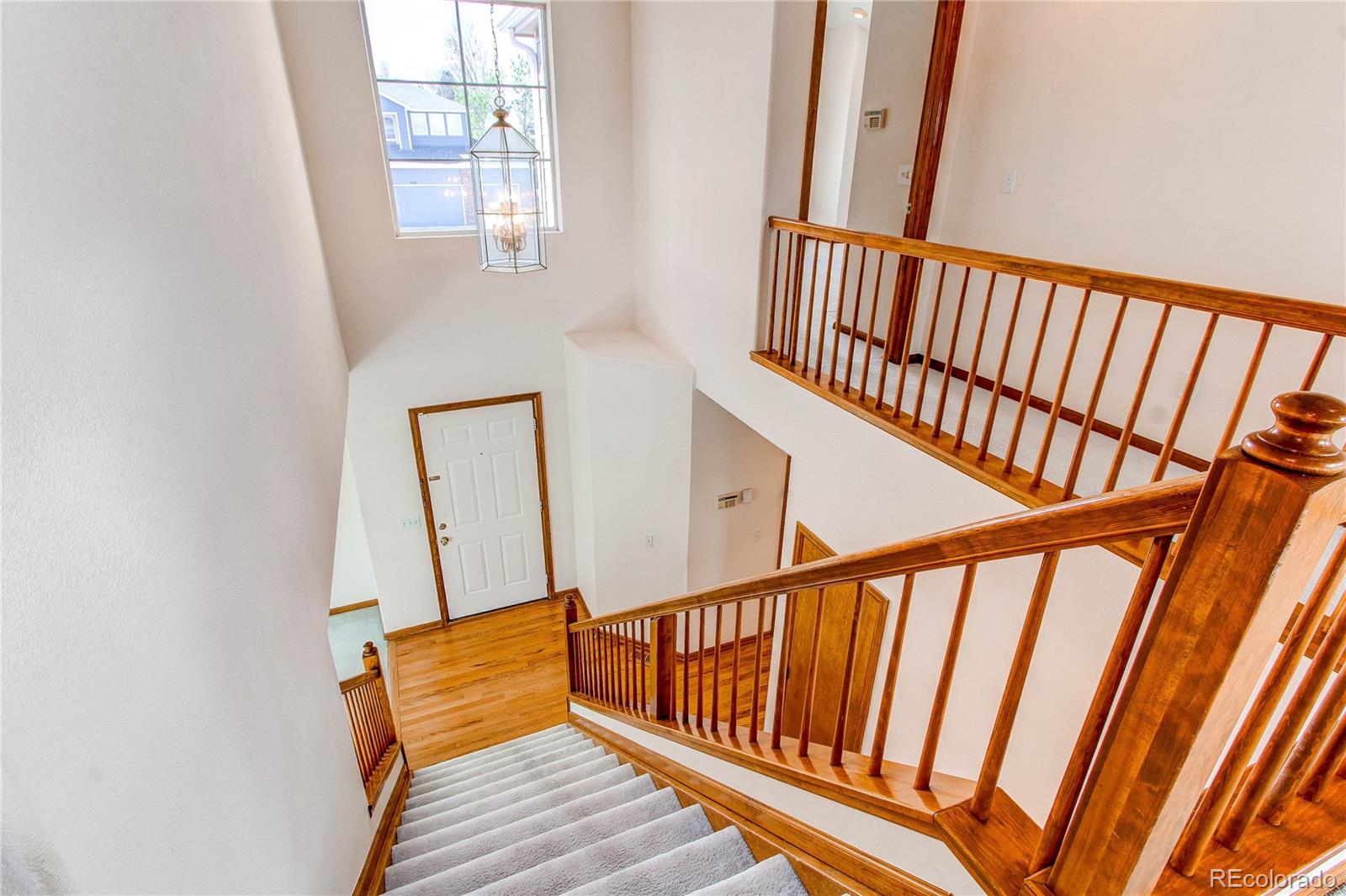 MLS Image #28 for 495  bexley street,highlands ranch, Colorado