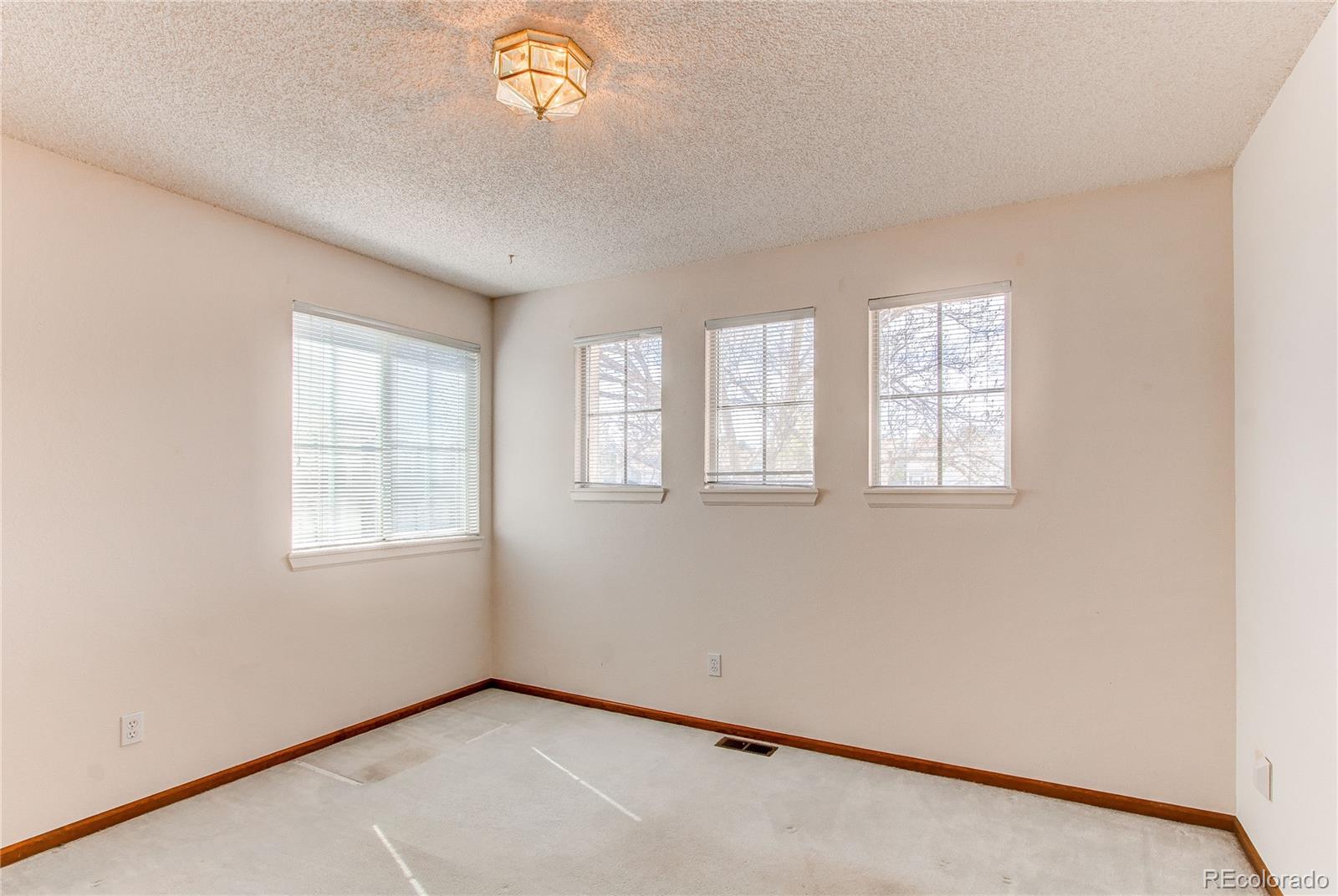 MLS Image #38 for 495  bexley street,highlands ranch, Colorado