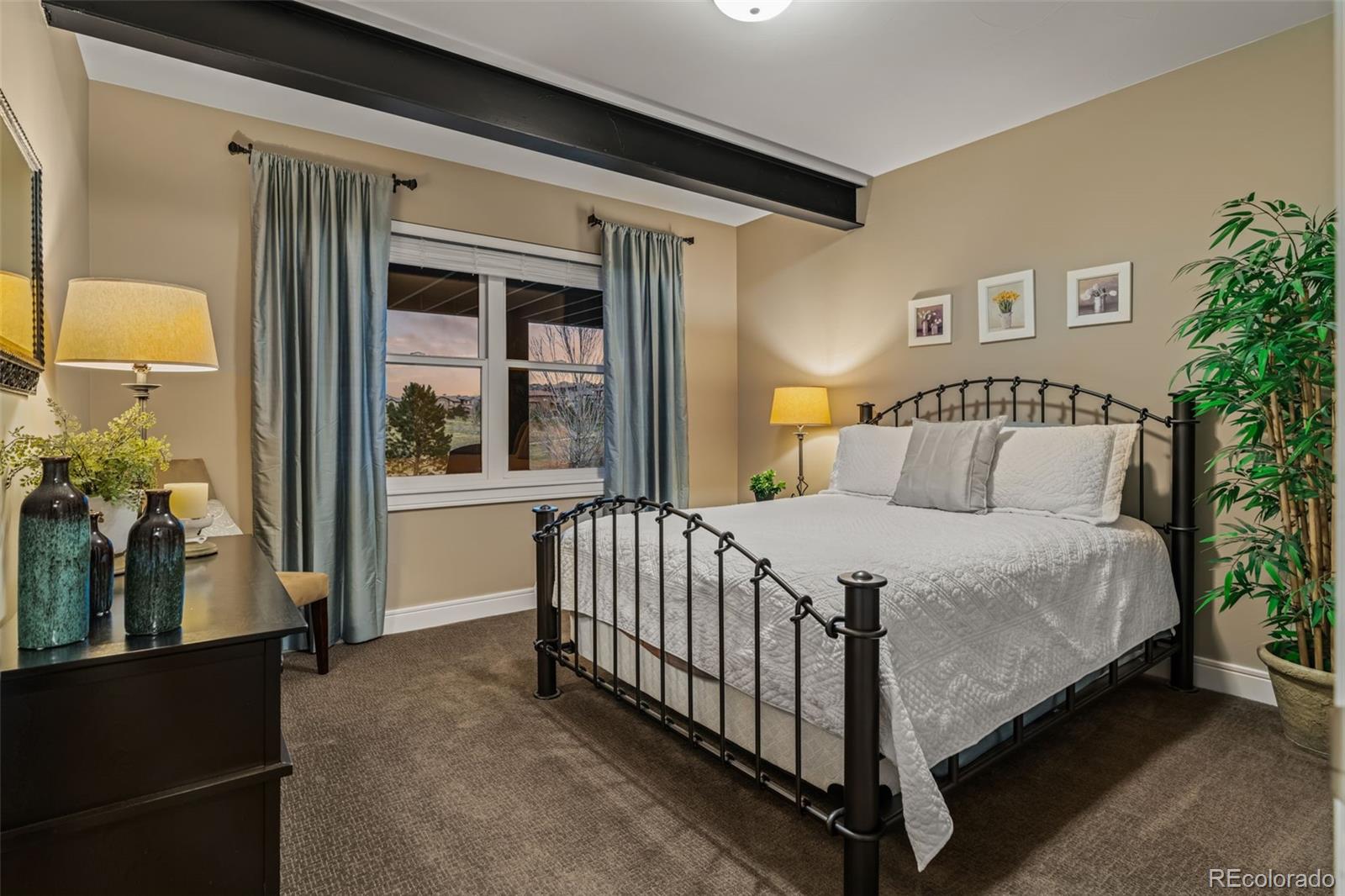MLS Image #36 for 10826  evergold way,highlands ranch, Colorado