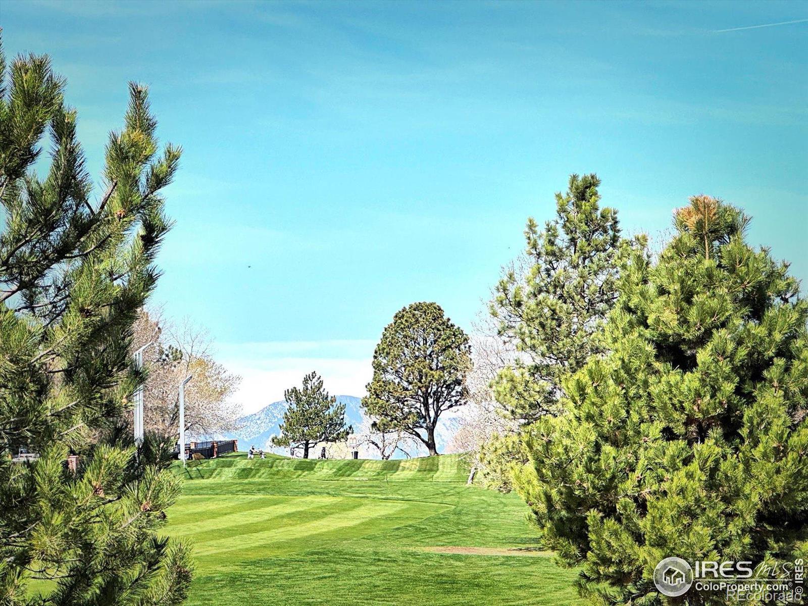 MLS Image #13 for 8403  chase drive,arvada, Colorado