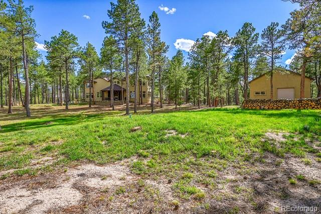 MLS Image #41 for 15947  huckleberry heights,colorado springs, Colorado