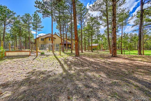 MLS Image #42 for 15947  huckleberry heights,colorado springs, Colorado