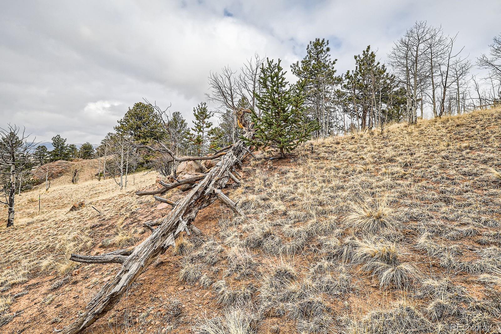 MLS Image #25 for 1403  caracara lane,jefferson, Colorado